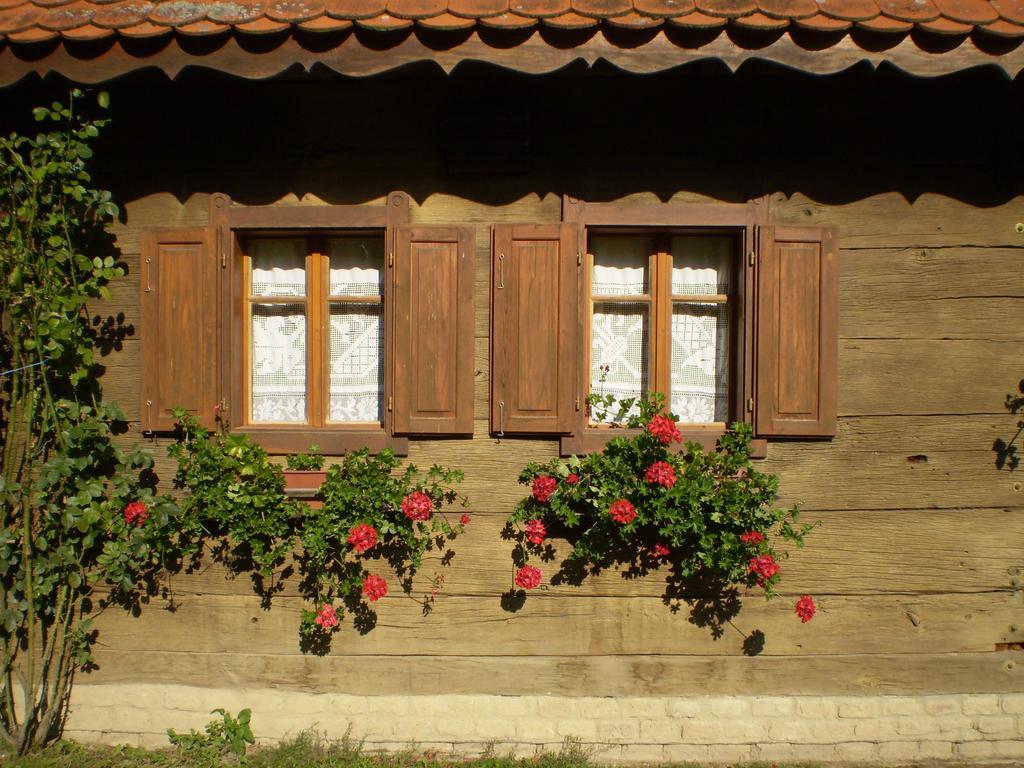 Apartments Iza Na Trem Čigoč Exteriér fotografie